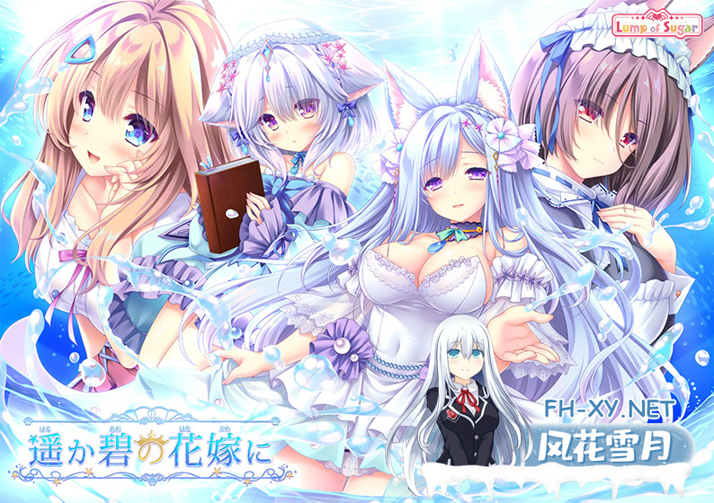 [精品ADV/中文]献给蔚蓝之海的新娘 官方中文版+全CG存档[新作][4.8G]